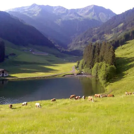 Chalet Heualm