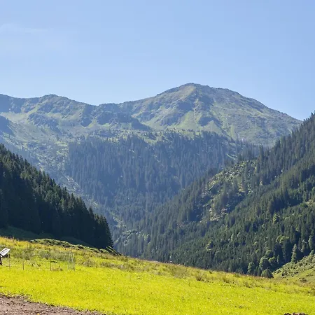 Heualm Hopfgarten im Brixental