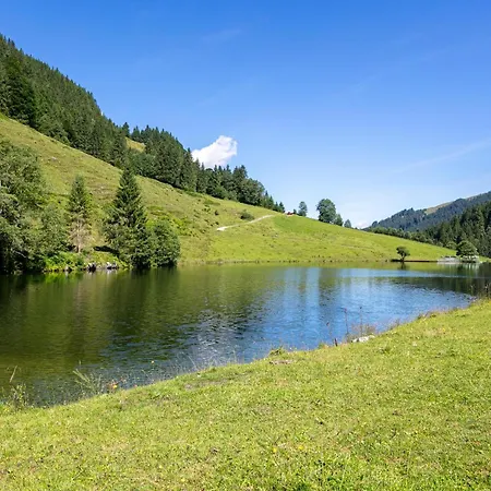 Alpehytte Heualm Hopfgarten im Brixental